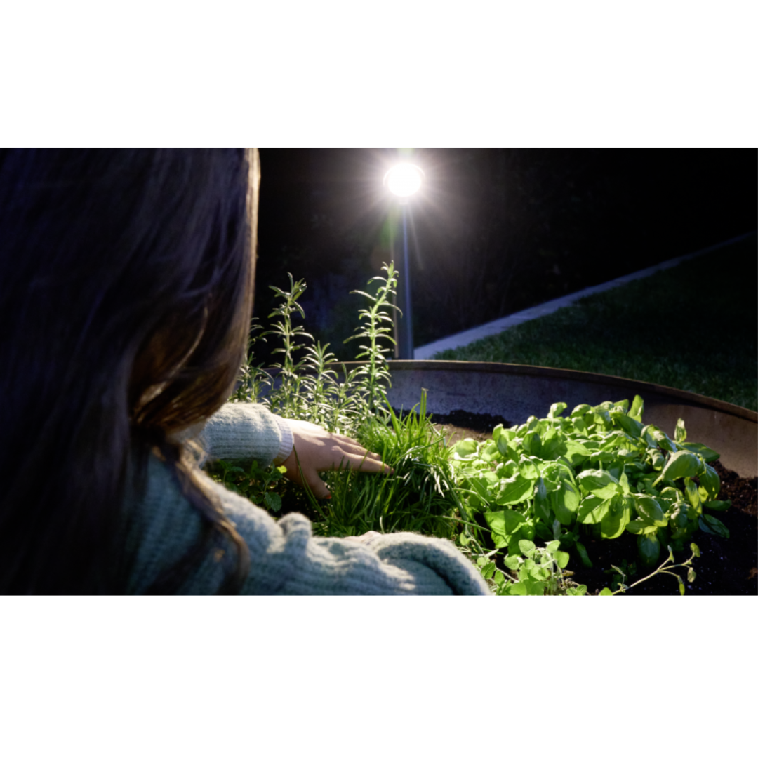Āra dārza gaismeklis (spot) ar kustības sensoru, antracīts, GU10, ar spuldzem komplektā - 7.9W, 3000K, 512lm, IP44, sensoru attālums 10m un 90°, ar Bluetooth savienojumu un vadību, Spot Garden SC, STEINEL
