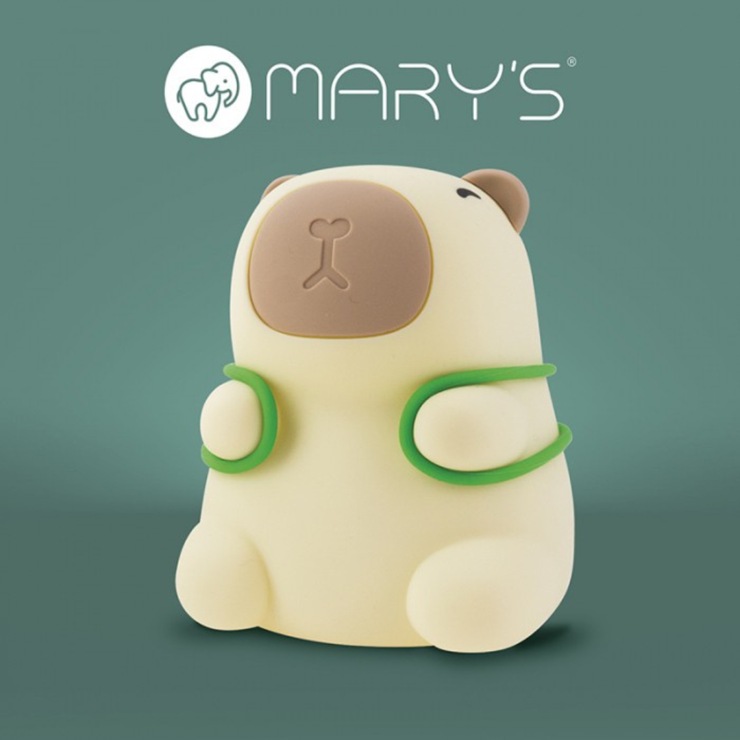 MARY'S LED nakts lampa / galda lampa, uzladējama USB, Ecolight