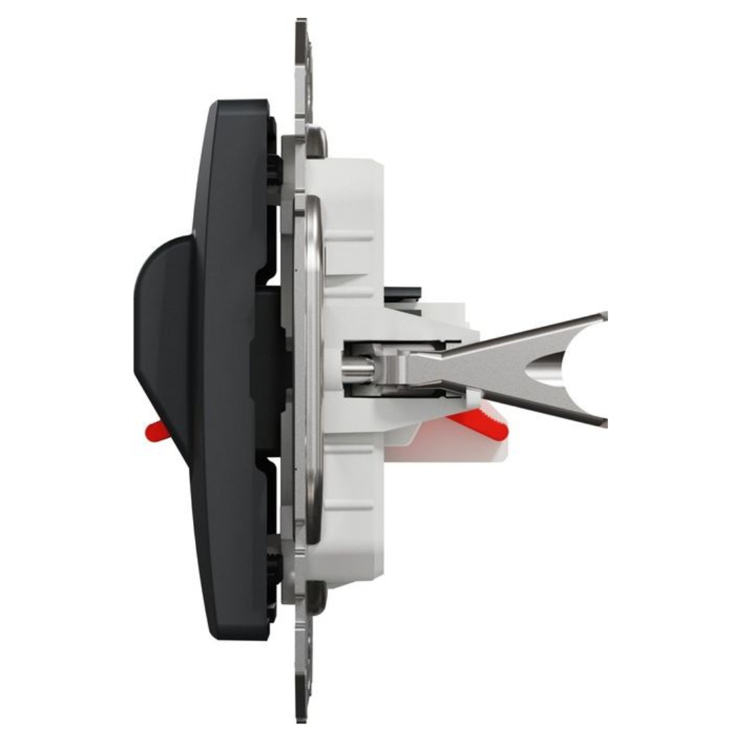 2 vietīga kontaktligzda skaļruņiem (Audio ligzda), antracīts, Sedna Design