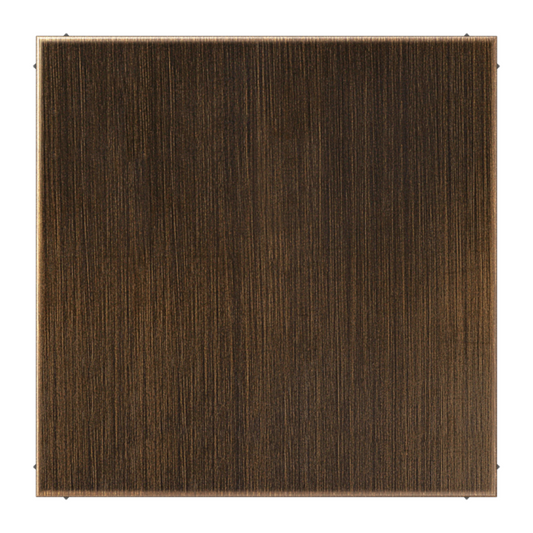 Tukša centrālā plāksne (uzspiežama fiksācija), antīkais misiņš, LS990