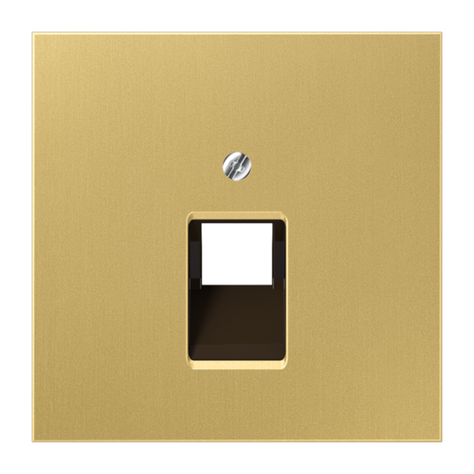 Metāliskā nosegplāksne IAE/UAE datu ligzdai, 1xRJ45, klasiskais misiņš, LS990