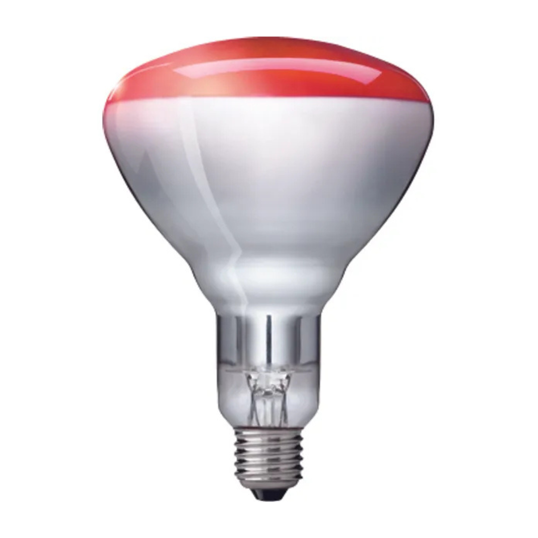 Infrasarkanā sildoša lampa, E27, 150W, 230-250V, BR125, IR, RED, 1CT/10, PHILIPS
