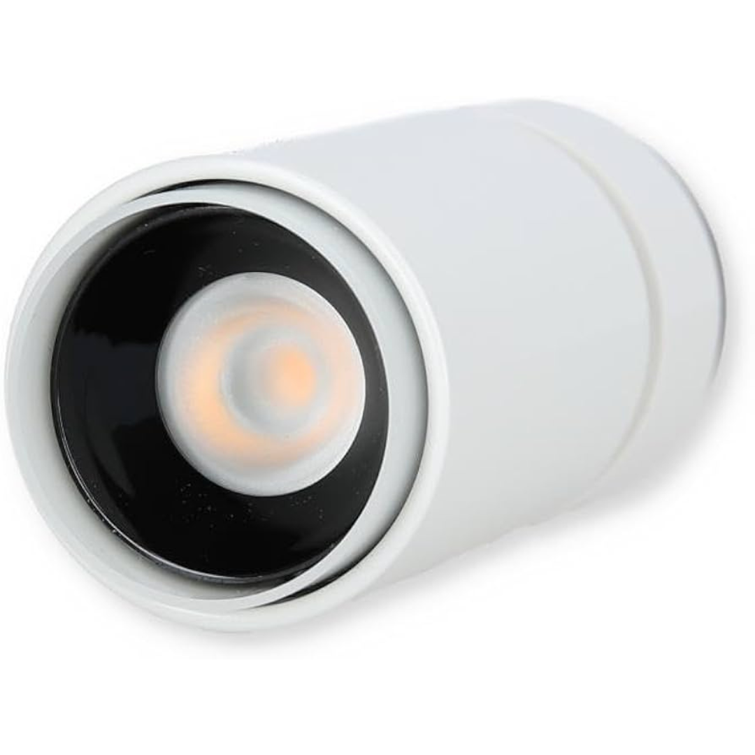 Gaismeklis LED spotlight 5.6W, Plug & Light, grozams, ar iespēju regulēt spožumu (dimmēt) , balts, LS990