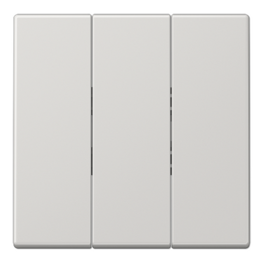 Trīsdaļīgs taustiņš, gaiši pelēks, LS990