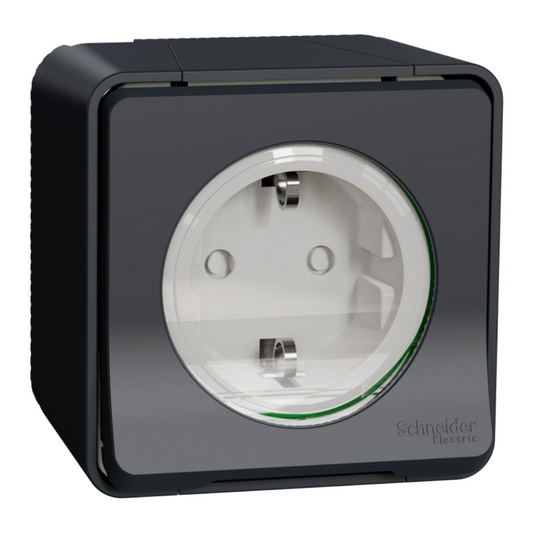 Kontaktligzda 1-vietīga a/z IP55, antracīts, virsapmetuma, MUREVA, Schneider Electric