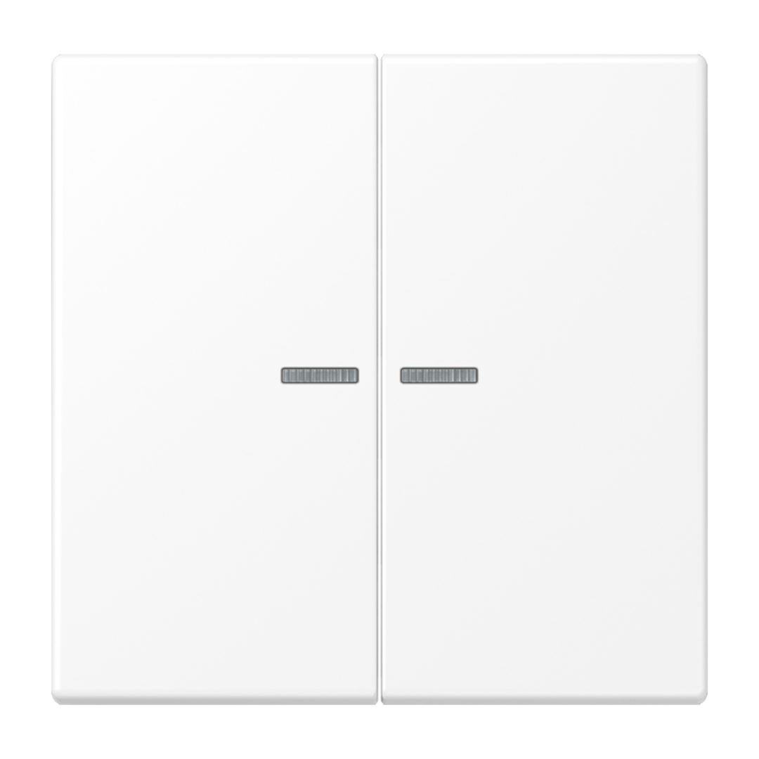 Dubultais taustiņš ar indikācijas lodziņu, matēts sniegbalts, LS990