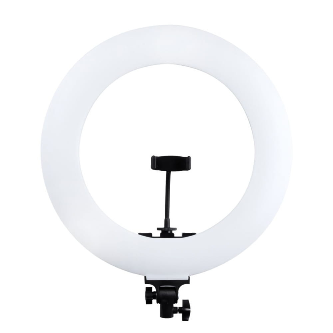 LED gredzena lampa MITOYA RL-480L + SIENAS KRONŠTEINS