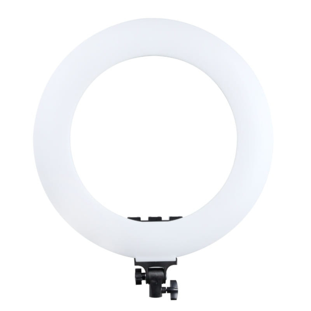 LED gredzena lampa MITOYA RL-480L + SIENAS KRONŠTEINS