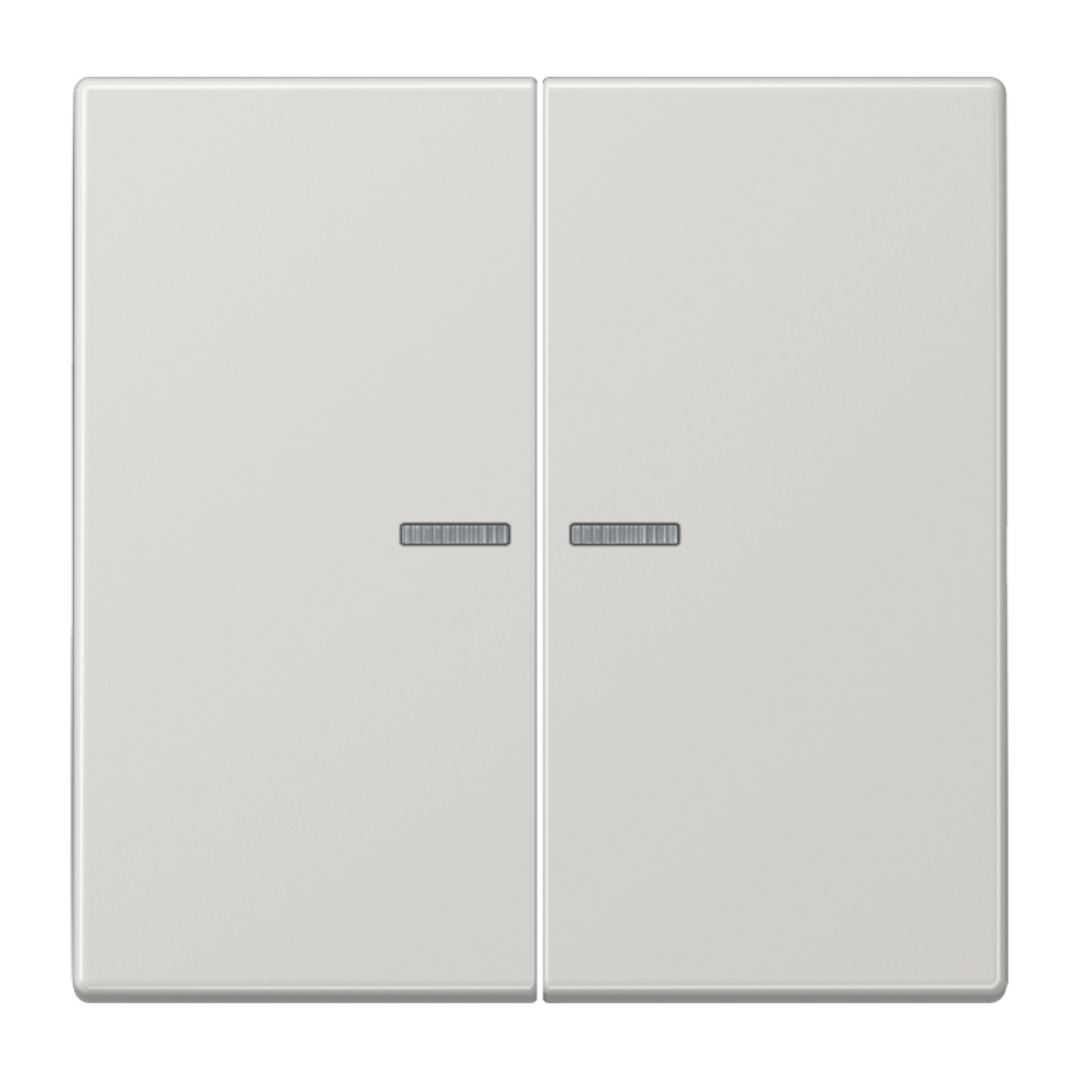 Dubultais taustiņš ar indikācijas lodziņu, gaiši pelēks, LS990