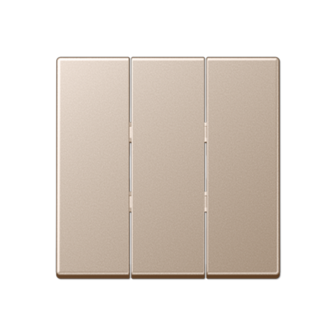 Trīsdaļīgs taustiņš, šampanieša krāsa, A500