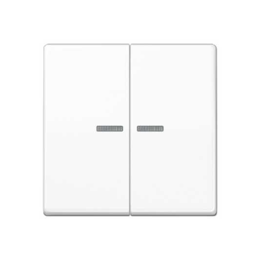 Dubultais taustiņš ar indikācijas lodziņu, balts, AS500