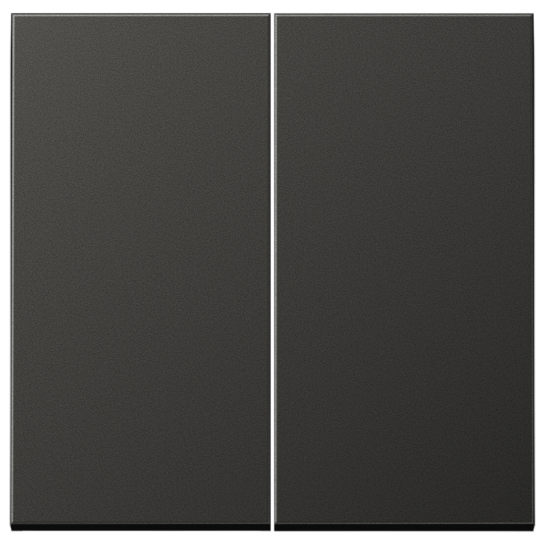 Metāliskais Dubultais taustiņš, antracīts, LS990