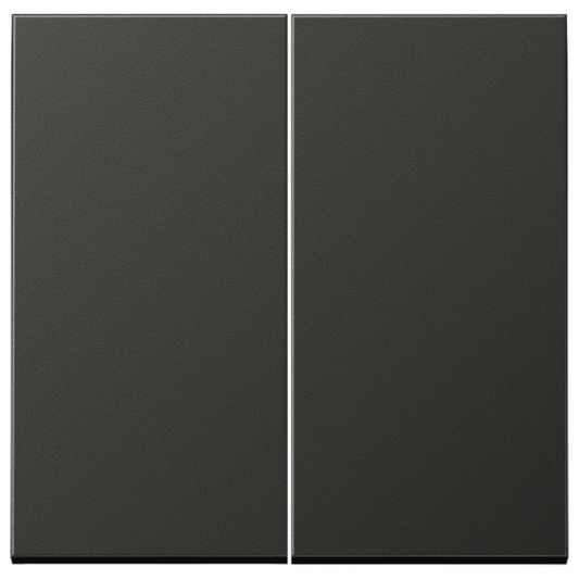 Metāliskais Dubultais taustiņš, antracīts, LS990