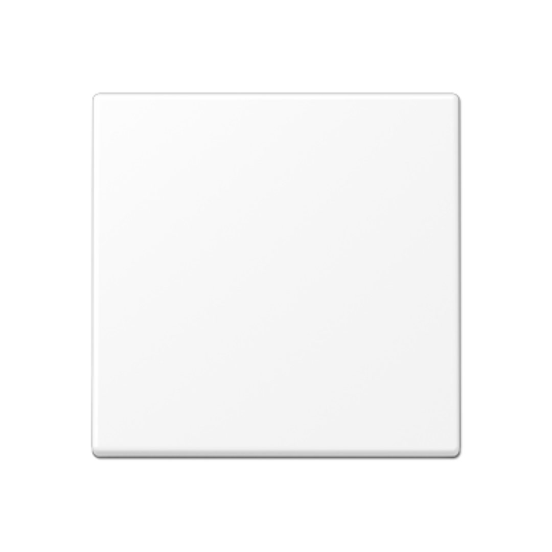 Taustiņš, matēts sniegbalts, A500