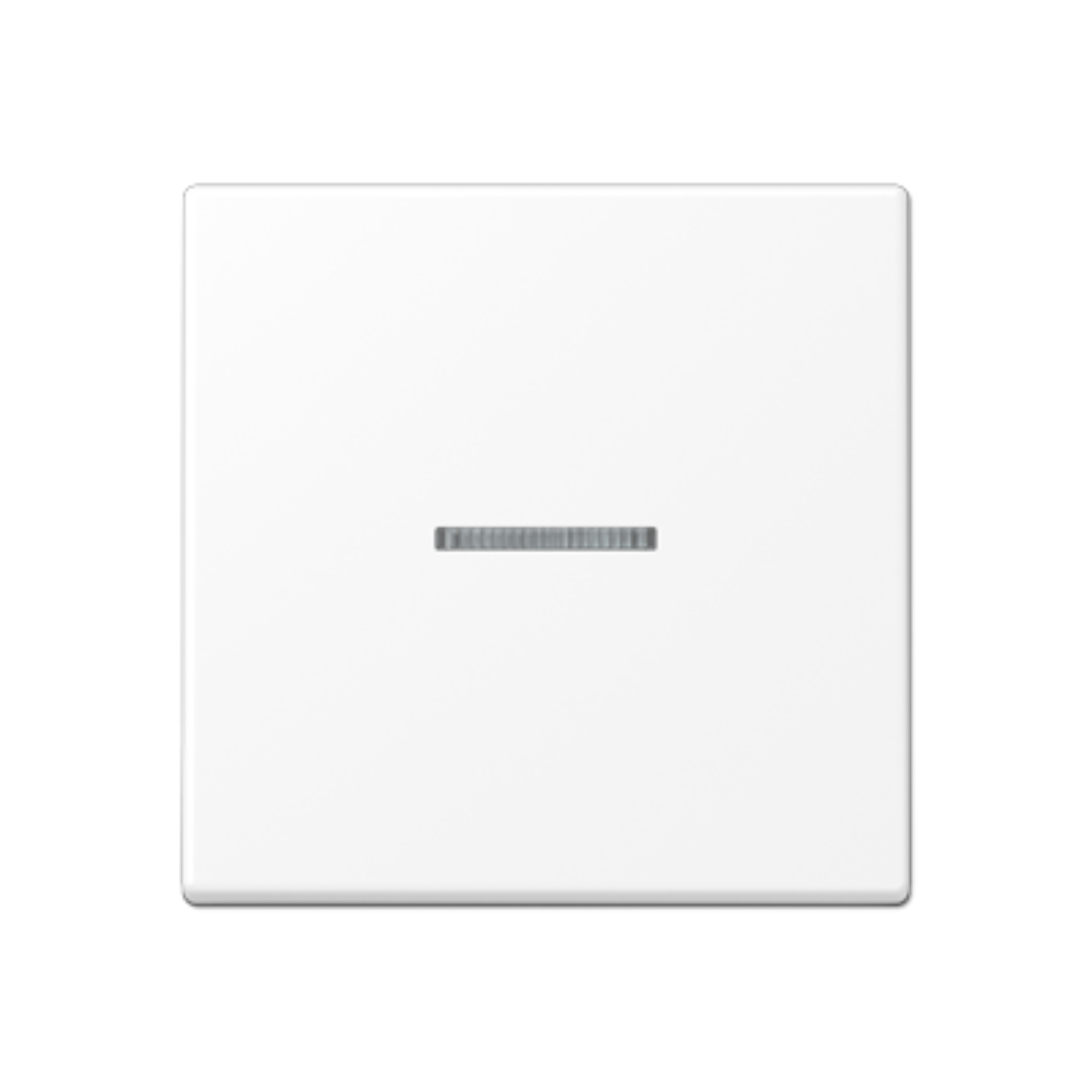 Taustiņš ar indikācijas lodziņu, matēts sniegbalts, A500