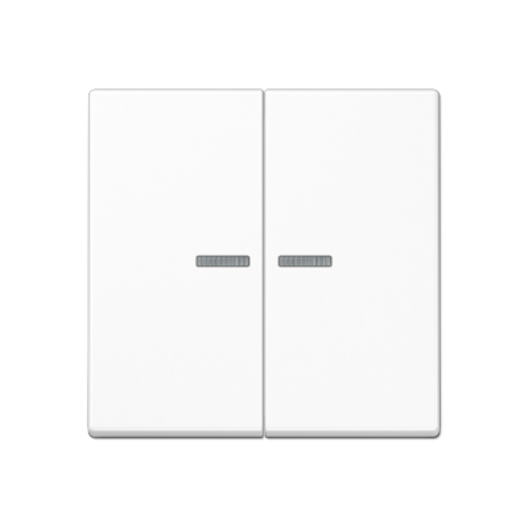 Dubultais taustiņš ar indikācijas lodziņu, balts, A500