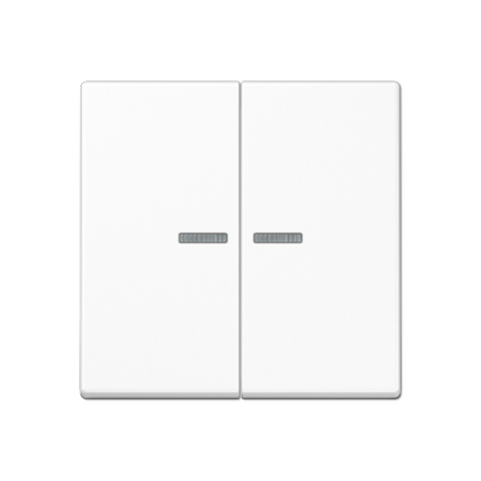 Dubultais taustiņš ar indikācijas lodziņu, balts, A500