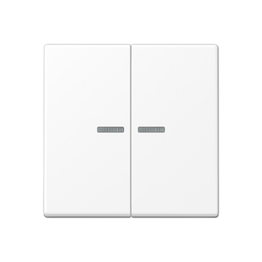 Dubultais taustiņš ar indikācijas lodziņu, matēts sniegbalts, A500