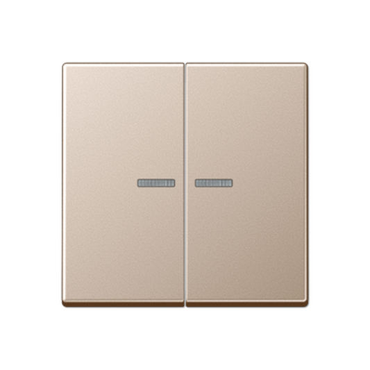 Dubultais taustiņš ar indikācijas lodziņu, šampanieša krāsa, A500