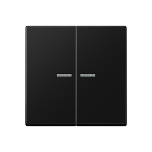 Dubultais taustiņš ar indikācijas lodziņu, matēts grafīta melns, A500