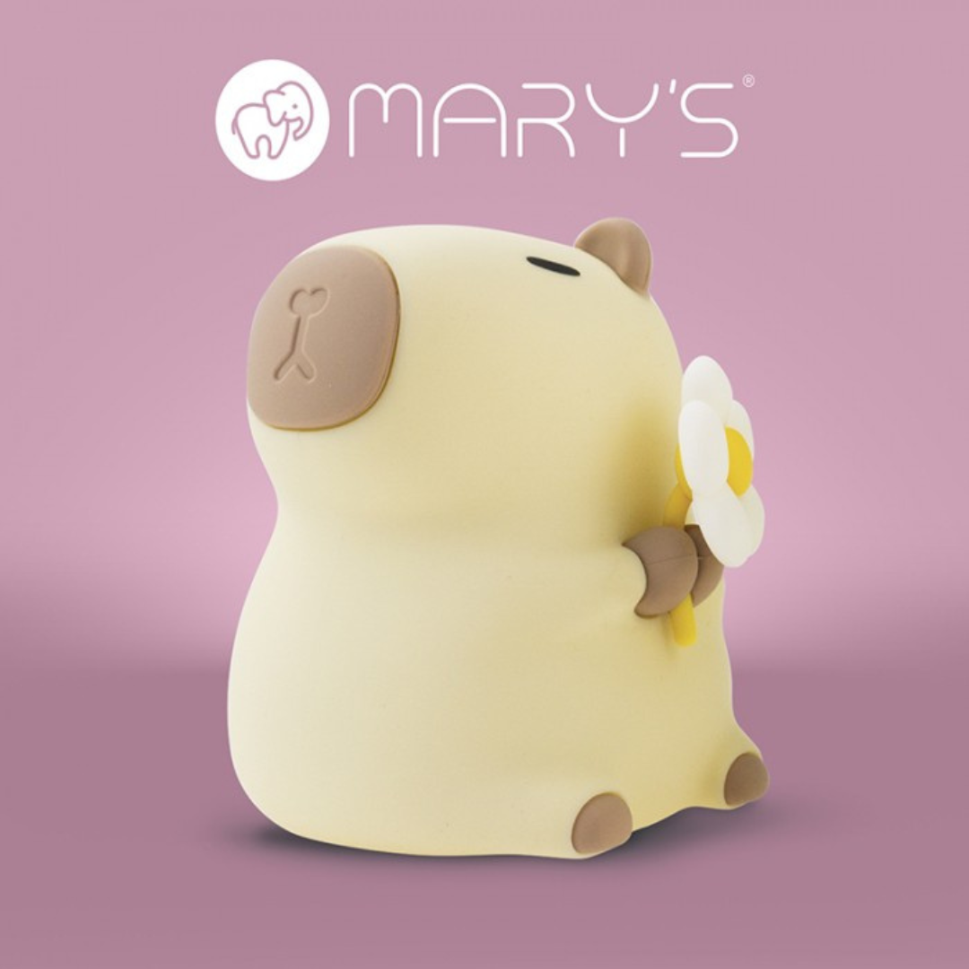 MARY'S LED nakts lampa / galda lampa, uzladējama USB, Ecolight