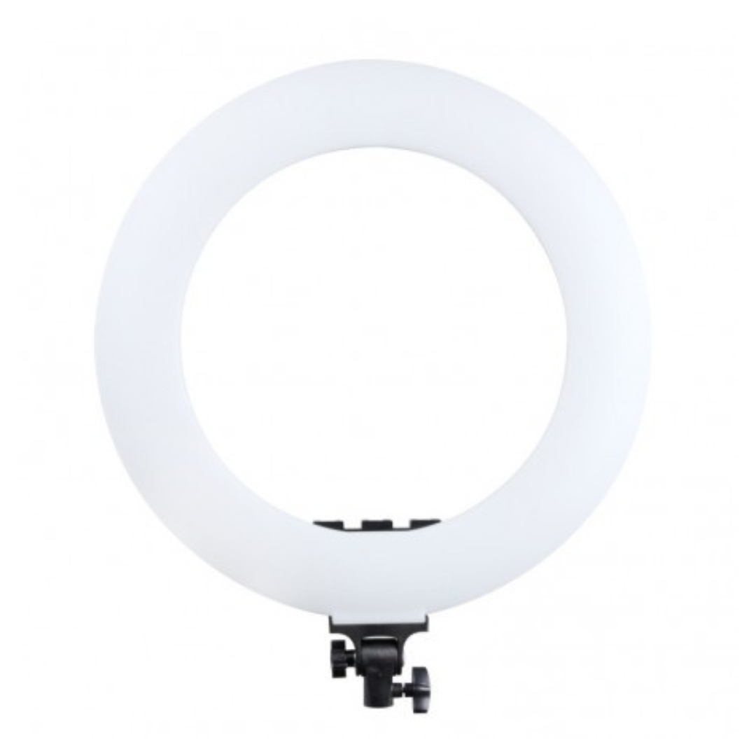 LED gredzena lampa MITOYA, RL-480L, 45cm, 3000-6000K