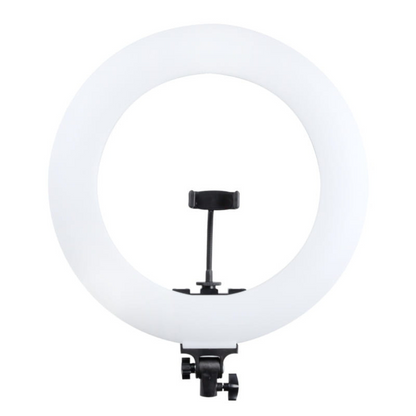 LED RING Lampa RL-480L + PENGUIN statīvs, komplekts, MITOYA