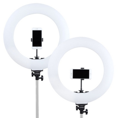 LED RING Lampa RL-480L + PENGUIN statīvs, komplekts, MITOYA