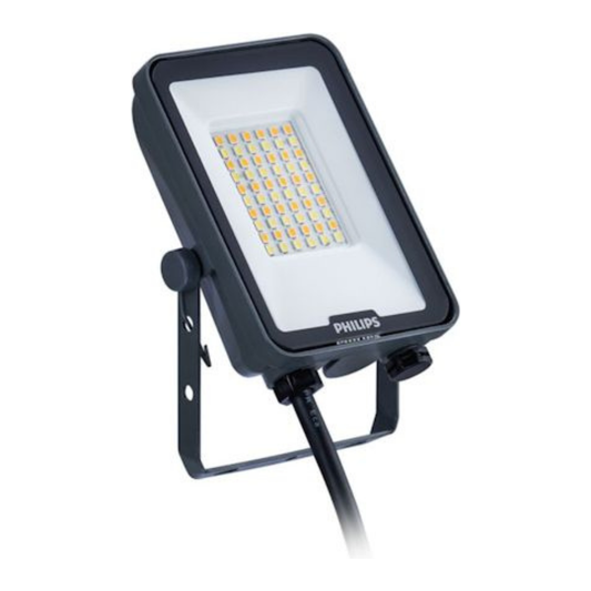 LED Prožektors, IP65, 100W, 3000K/4000K/6500K, 11000/12000Lm, BVP169, melns, Philips