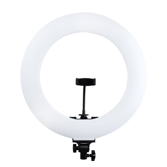 LED gredzena lampa MITOYA RL-480L + SIENAS KRONŠTEINS