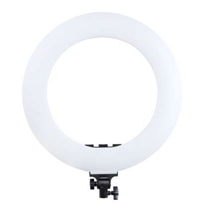 LED gredzena lampa MITOYA RL-480L + SIENAS KRONŠTEINS